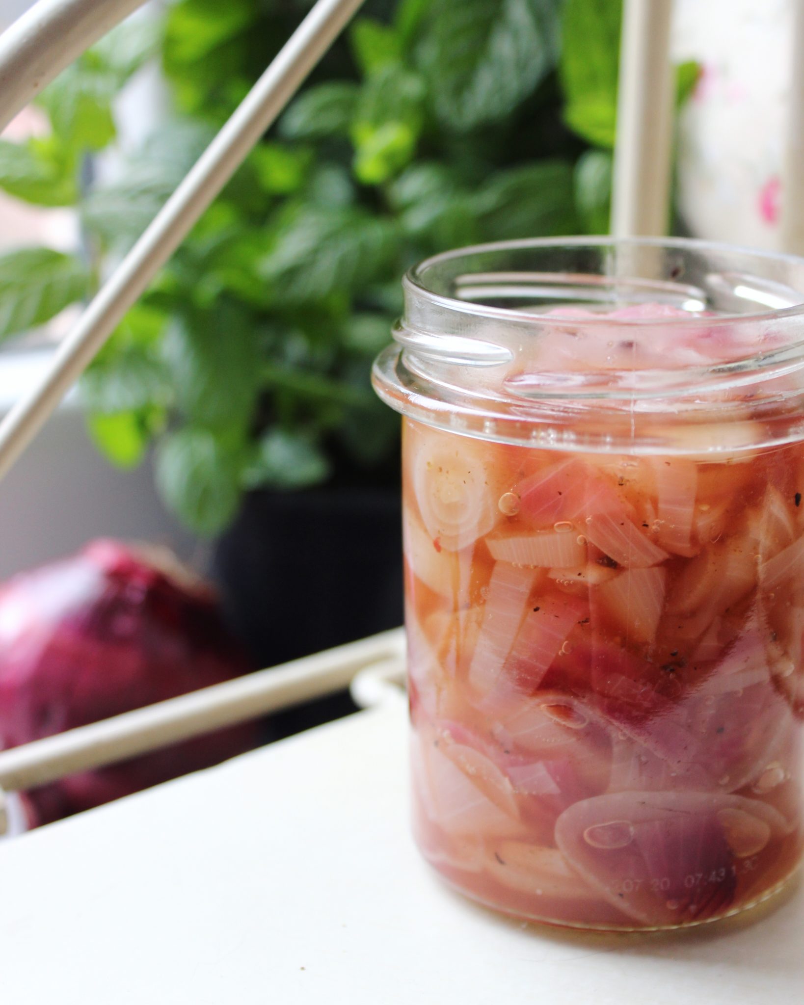 Recette Pickles d'oignons rouges La Plume d'Adam