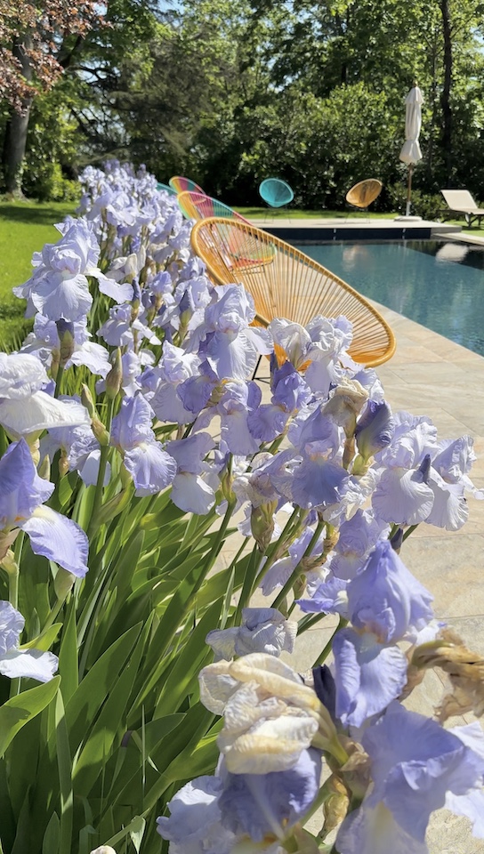 Piscine devant l'Hôtel Villa Alexandre.