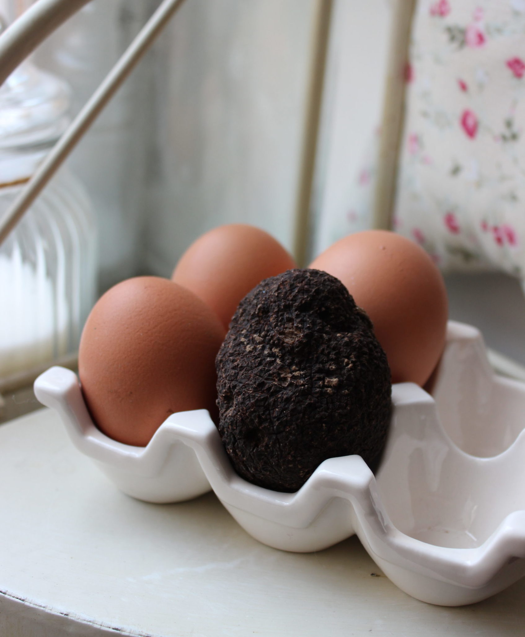 tout-savoir-sur-truffe--scaled-e1741727914726.jpeg